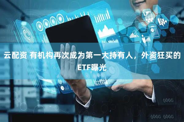云配资 有机构再次成为第一大持有人，外资狂买的ETF曝光