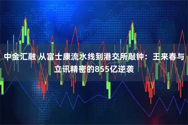中金汇融 从富士康流水线到港交所敲钟：王来春与立讯精密的855亿逆袭