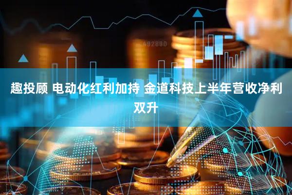 趣投顾 电动化红利加持 金道科技上半年营收净利双升