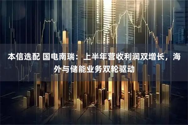 本信选配 国电南瑞：上半年营收利润双增长，海外与储能业务双轮驱动